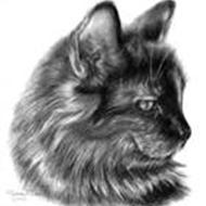 . *-. Skovkattene .-* .