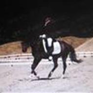 §¤¤~* £ine H *~¤¤§ '