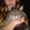 cecilie m