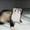 susanne N