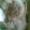 cecilie h