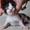 Gitte D