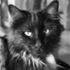 Anne Sofie  