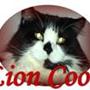 LionCoon s