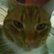 ditte  spætte og femse<3<3 elsker jer<3 p