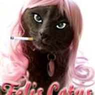 Felis Catus '