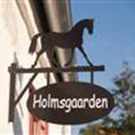 Team Holmsgaard