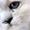 Vibeke  P