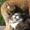 . { Pernille P } . - GULDKATTEN <3 .