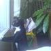 Mavesur kat