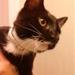 profil/udfordring