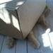 Mistede min lille killing :'(.