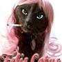 Felis Catus '
