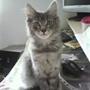 Betina H