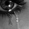 *Team Spebale* Savner ALLE mine katte ;( .