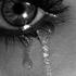 *Team Spebale* Savner ALLE mine katte ;( .