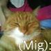 ghgjh