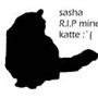 Sasha  R.I.P mine katte :`( .