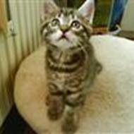 Torben & Annemarie S