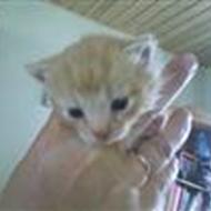 *team mine katte*(cecilie)  
