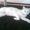 dorthe D