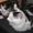 Malou H