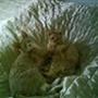michele & tequila <3 <