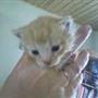*team mine katte*(cecilie)  