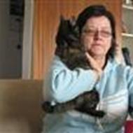 Hanne B