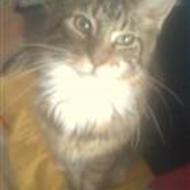 DES # Krizter # Savner dig<3 !