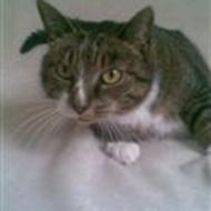 < :) Loui, Lonnie og Sahra (: >