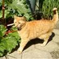 Gaffe & Starlight ¤ I love them!  <