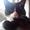 Natascha N