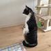 Meget vandglad kat