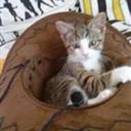 *Eline Møller&Felix Møller!<3* .