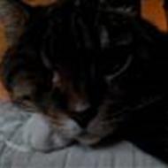 Mette H