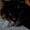 Mette H