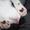 Sofie T