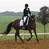 Vibeke F
