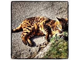 Fotokonkurrence vinder!:D