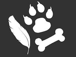 Intershowpets - Online fotostævne for dyr