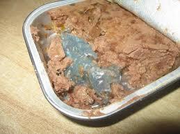 "Lækkert" fund i Topic paté