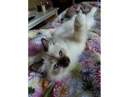 Helsingør udstilling