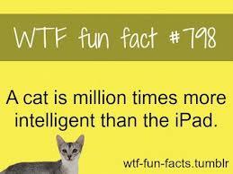 Heh, det tror jeg gerne på..