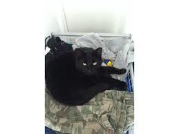 Missen putter i min brors tøj igen:)