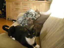 Problemerne blev løst!