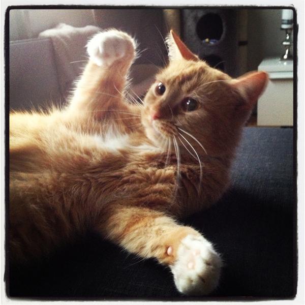 TAK til KG's brugere!