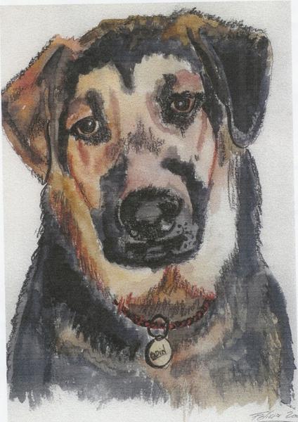 nogen der kender en tegner??