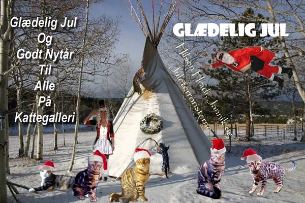 Glædelig jul til Alle