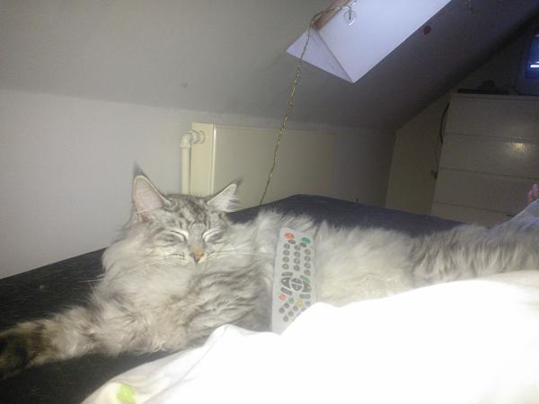 ville bare lige vise mors dreng frem 